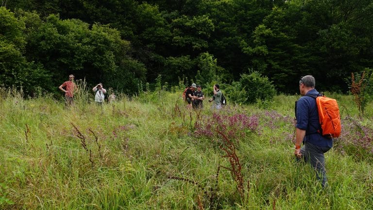 Met de UK Forest Research op zoek naar de grote poppenrover