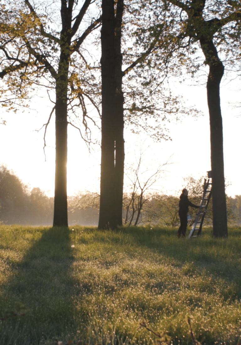 LIFE Eikenprocessierups – een terugblik