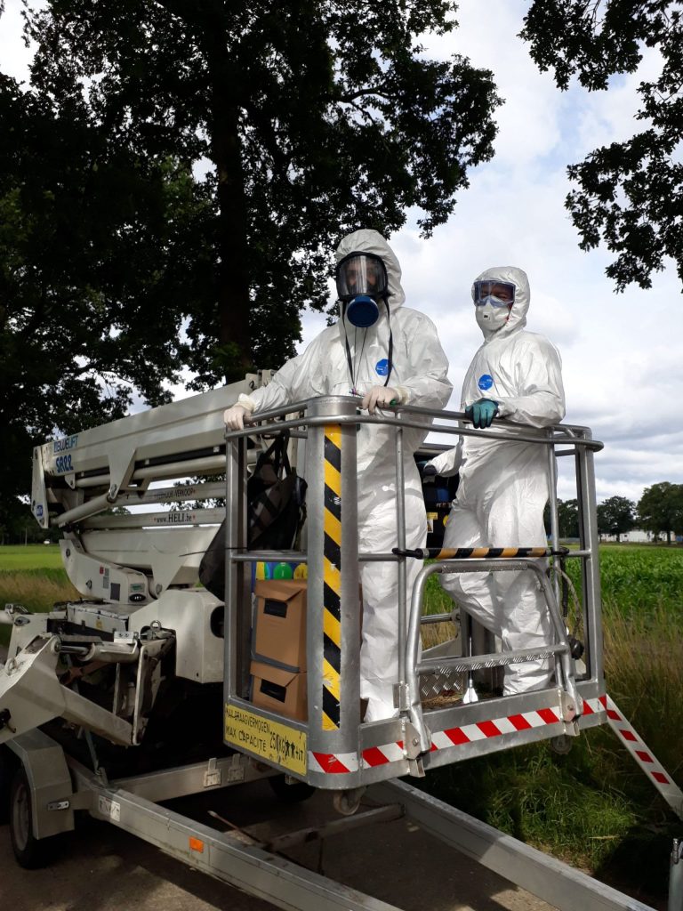 Protective clothing - oak proecessionary caterpillars - overall and full-face mask